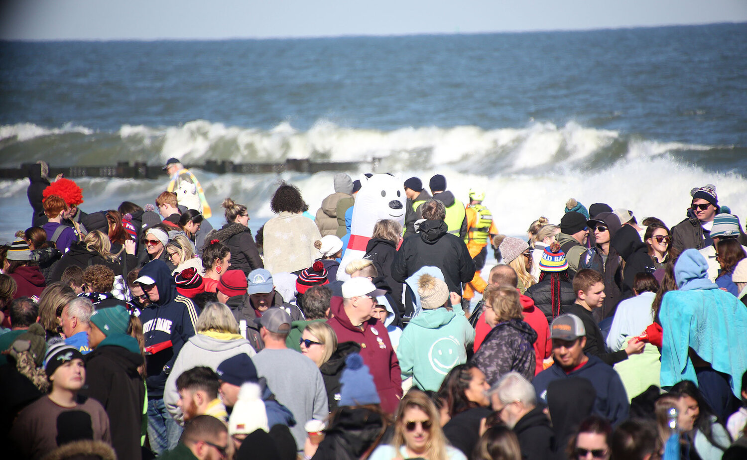 Polar bears raise a record 1.5 million for Special Olympics Delaware